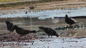 Слънчево време в събота