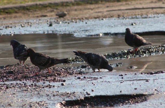 Слънчево време в събота