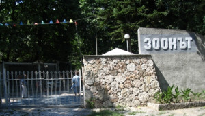 Да осиновиш животно от зоопарка и да го подариш за