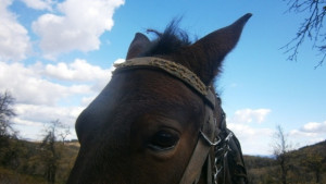 Топла събота