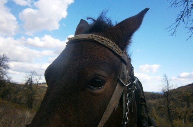 Топла събота