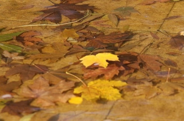 Слънчево и топло време в неделя