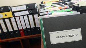 Икономисти от БАН посочиха плюсовете и минусите на бюджет 2015