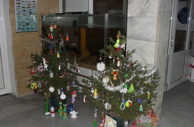 Живи коледни дръвчета получиха победителите в конкурса „Екоколеда“