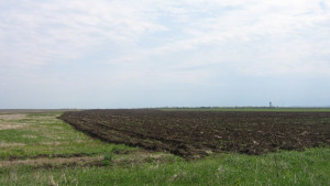 До края на декември земеделците избират как да се облагат