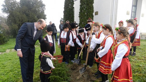 Двама Момчиловци посадиха коледно дръвче във Видин