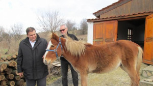 Емил Радев Необходими са законодателни мерки срещу случаите на насилие