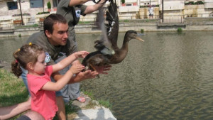 Отпускат 253 000 лева на Спасителния център за диви животни