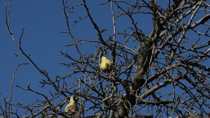 Вятърът постепенно отслабва