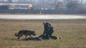 121 бежанци над 54 кг канабис и над 100 000