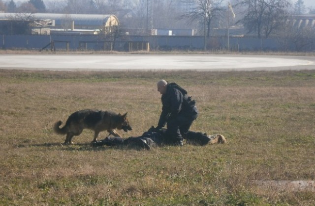 121 бежанци, над 54 кг. канабис и над 100 000 кутии цигари са задържани от „Гранична полиция- Кюстендил през 2014 г.