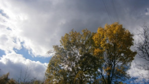 Високи температури днес