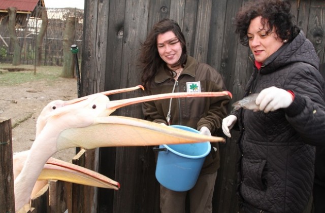 Обявяват нов конкурс за директор на РИОСВ-Стара Загора