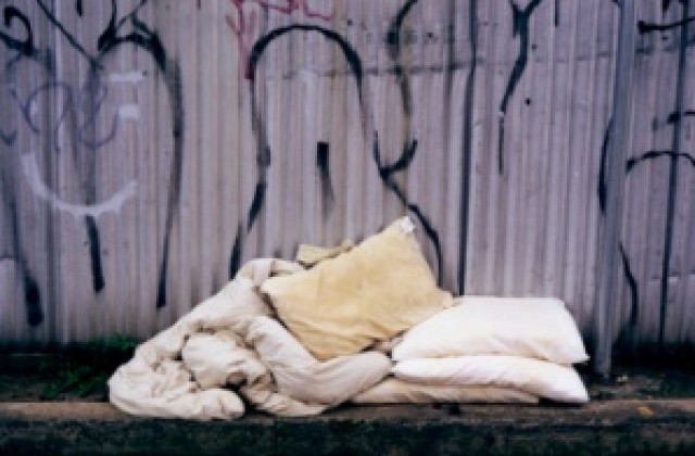 Имотни измами пълнят приюта за бездомни