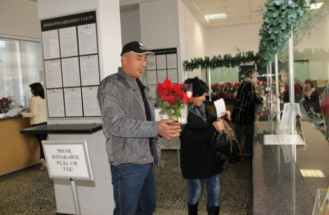 Коледни звезди подарява община Димитровград на гражданите