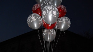 Поздрав от ПП ГЕРБ Враца