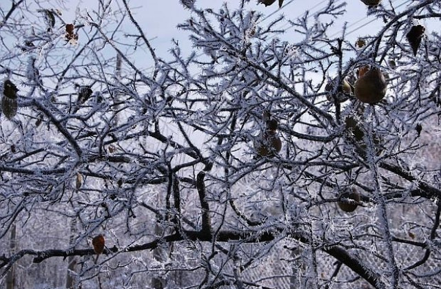 Температурите започват да се понижават