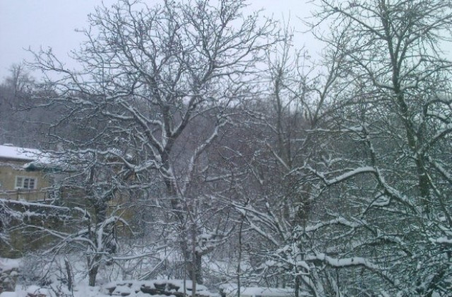 Истинската зима ще започне след Коледа