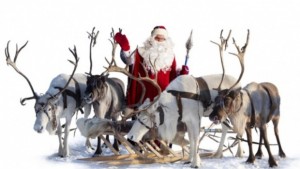 Любопитни факти за рогатите помощници на Дядо Коледа