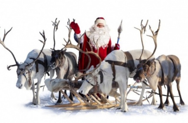 Любопитни факти за рогатите помощници на Дядо Коледа