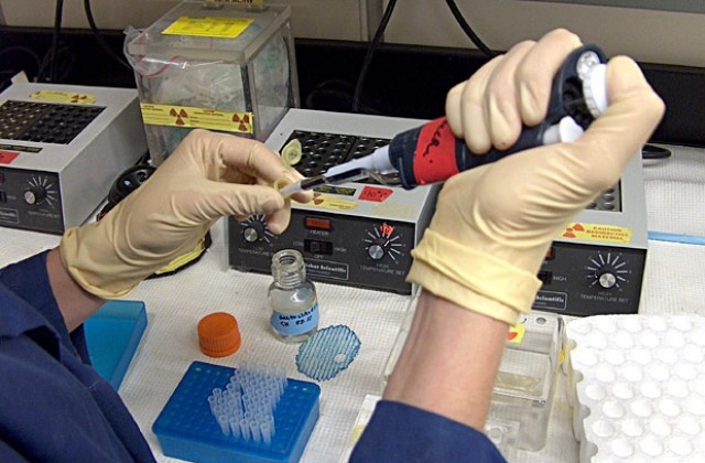 Учени произвеждат биопластмаса от зъби на сепия