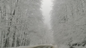 Временна забрана за движение по пътища от област Габрово