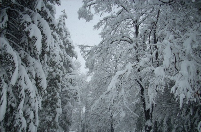 Сняг и дъжд над цялата страна