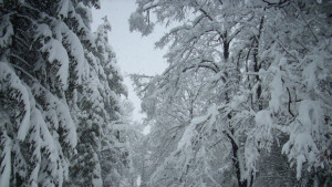 Пътищата в областта са почистени и проходими