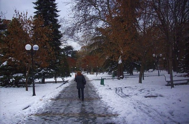 Пътищата в региона са проходими