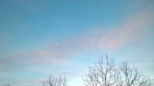 28 декември студен зимен ден