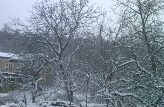 Няма получени сигнали за бедстващи хора на територията на община Габрово