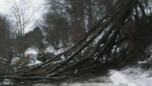 Голяма бука препречи пътя за Осоговската планина за щастие няма