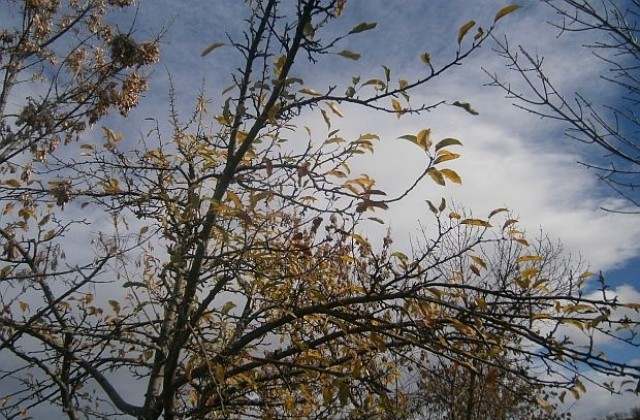 Предупреждават за бурен вятър и поледици