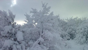 10 см снежна покривка пътищата в област Габрово са проходими