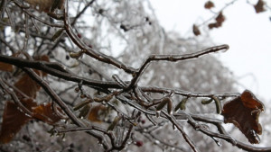 Гражданите денонощно могат да подават сигнали за обледявания