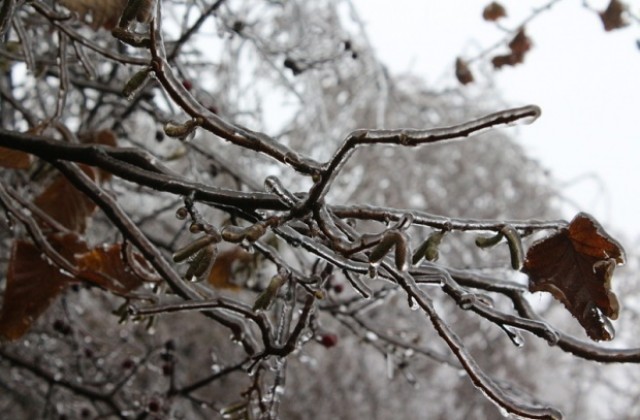 Гражданите денонощно могат да подават сигнали за обледявания