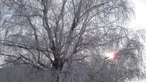Пътищата са сухи заснежени участъци в тервелско