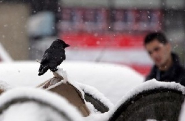 Жълт код заради екстремно ниски температури и силен вятър