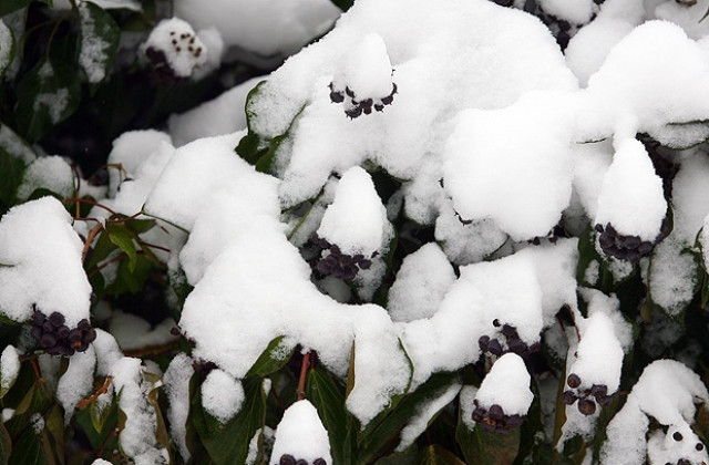 Жълт код заради екстремно ниски температури и силен вятър