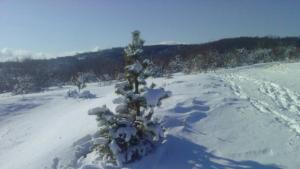 Жълт код за студено време в област Габрово в последния