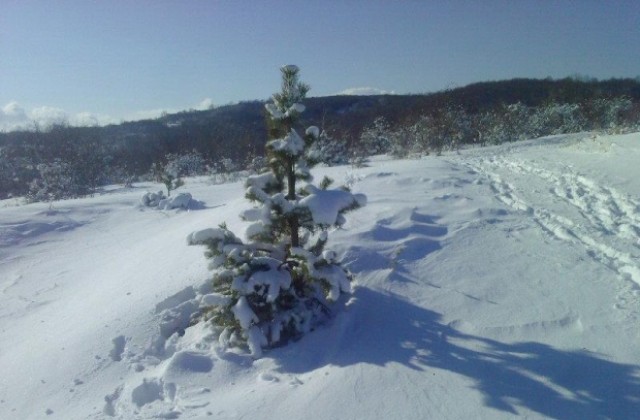 Жълт код за студено време в област Габрово в последния ден от годината