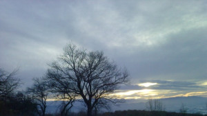 Жълт код за много ниски температури в региона