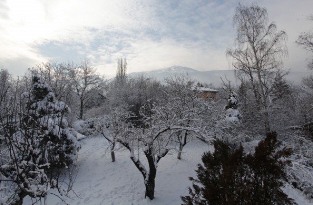 Отново студ ни чака в началото на новата седмица, нахлува арктичен въздух