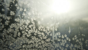 Времето на 4 януари Облачно и хладно