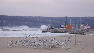 Варна отново в жълто заради силен вятър