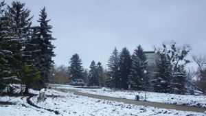 25 възрастни и 10 деца са настанени в приюти за
