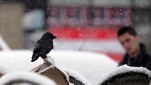 Температурите скачат до 15 градуса в неделя