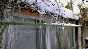 Три жертви на студа в Пернишко