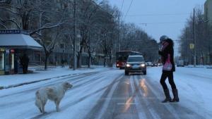 Отново минусови температури в региона