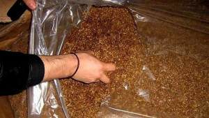Задигнаха 4 тона тютюн